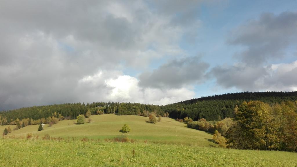 Penzion Liberta Horni Marsov Exterior photo